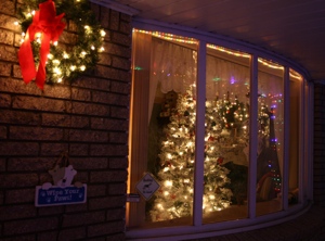 window.jpg
